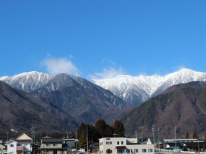 本年もどうぞよろしくお願い致します🎍